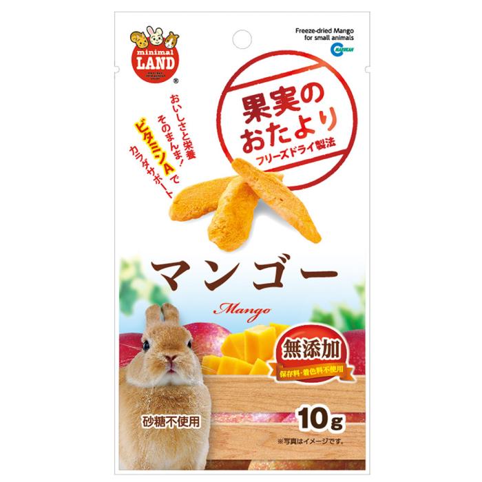 果実のおたよりマンゴー