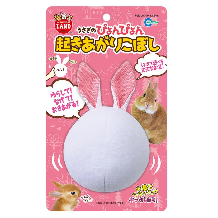 Name, Id Tag - うさぎのぴょんぴょん起きあがりこぼし