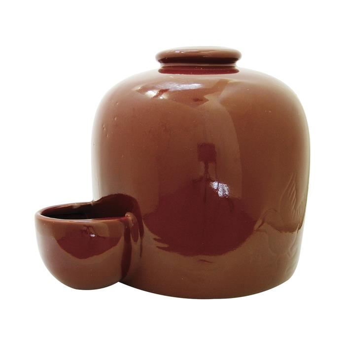 ����ߥ��󥯡�5��