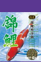 錦鯉 4kg