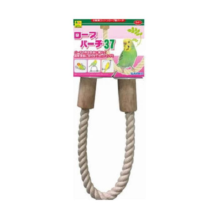 B41�������ץѡ�����37