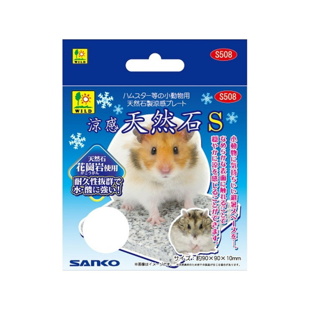 S508 �ô� ŷ����