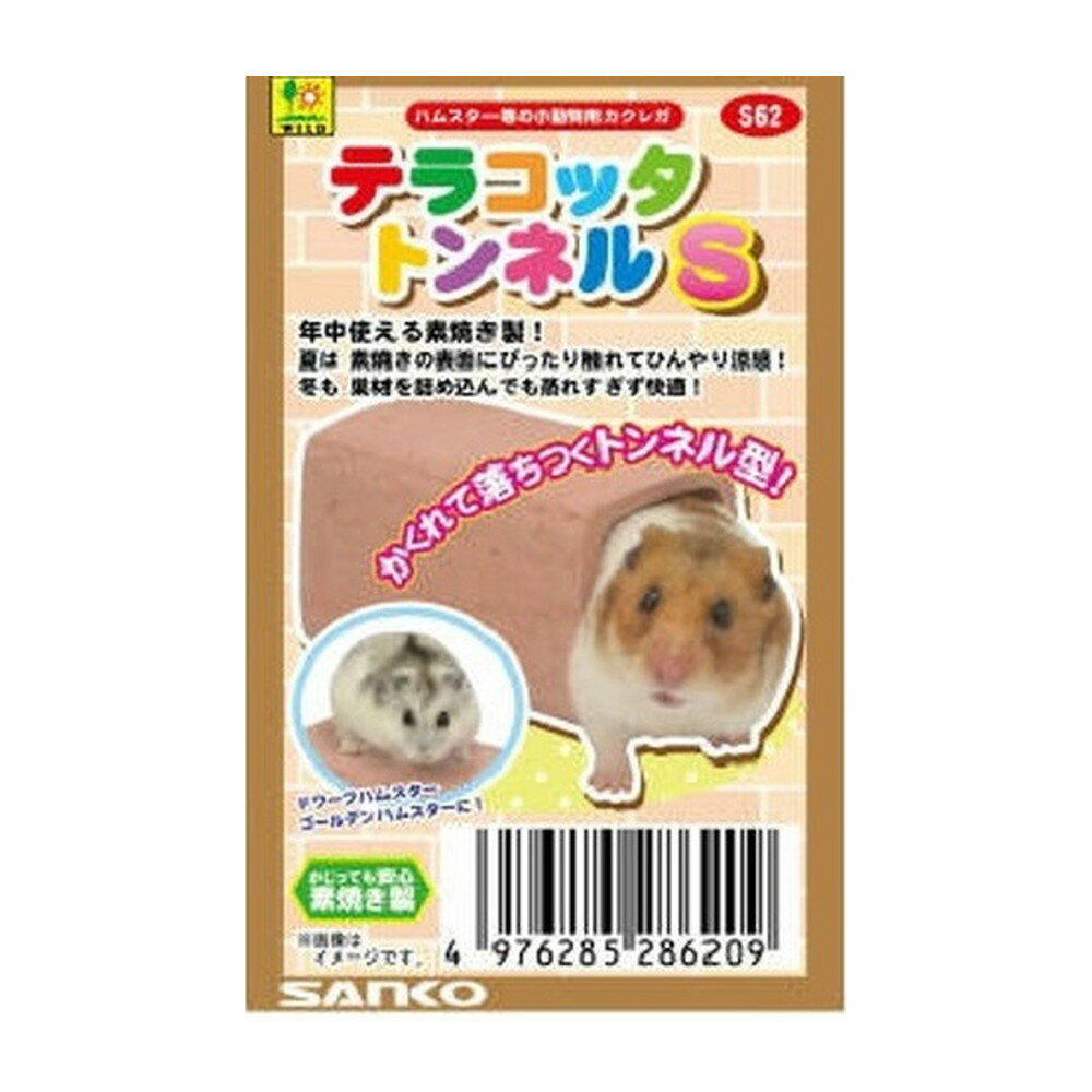 S62　テラコッタ　トンネル