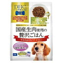国産生肉使用の贅沢ごはん やわらかタイプ チキン シニア 700g