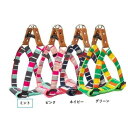 パステルボーダー カンタンハーネス Mサイズ ミント