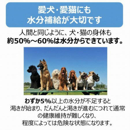 ペットスエットゼリー犬用 7本