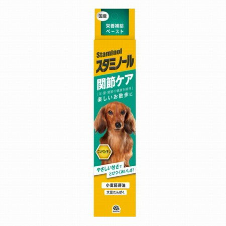 Co-Enzyme Q10 - スタミノール 関節ケア 100g