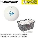 【LINE追加で5%OFFクーポン配布中】ダンロップ ダンロップスポーツ ボール ソフトテニスボール練習球(10ダース入りバスケット) DSTBPRA2CS120 ソフトテニス