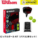 【LINE追加で5%OFFクーポン配布中】【最短出荷】ウイルソン Wilson ピックルボールパドル ラケット PICKLEBALL KIT 2 PADDLES 2 WR195611U2 ピックルボール