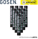 【LINE追加で5%OFFクーポン配布中】【10ダース】【練習球 練習用】ゴーセン GOSEN シャトル フェザーバレット GF-3000 バドミントン【最短出...