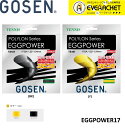 ゴーセン GOSEN その他 EGGPOWER17 TS101 硬式テニス