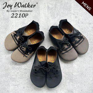Joy Walker 2210P