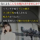 everselect:10000082のサンプル画像3