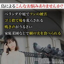 everselect:10000156のサンプル画像2