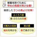 everselect:10000156のサンプル画像3