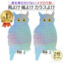 ＼ランキング1位／ 鳥よけ 鳩よけ カラスよけ ハトよけ フクロウ型 ふくろう 2枚セット カラス撃退 カラス対策 鳩 鳥撃退 鳥対策 防鳥 フン害 鳥害対策 糞害防止 送料無料