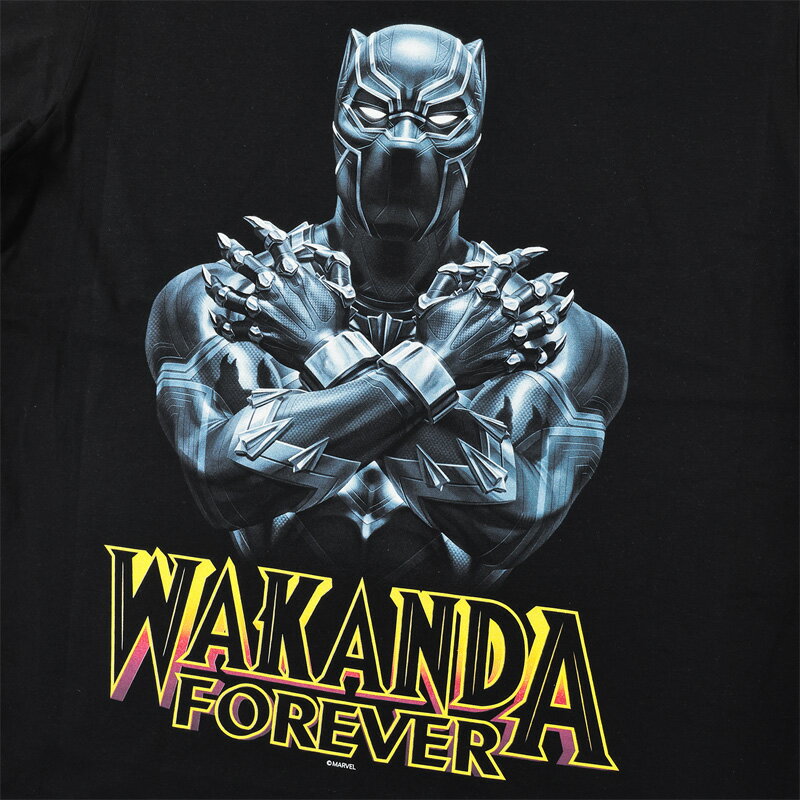マーベル Tシャツ MARVEL メンズ ブラ...の紹介画像3
