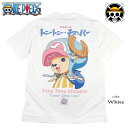 ONE PIECE Tシャツ ワンピース ルフィ サンジ ゾロ ナミ ロビン チョッパー ブルック フランキー ウソップ メンズ 半袖 アニメ グッズ レディース 麦わら海賊団 ドクロ ラメ 海外モデル 誕生日プレゼント ギフト ペアルック 日本未発売インポート商品【メール便送料無料】