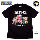 ONE PIECE Tシャツ ワンピース ルフィ サンジ ゾロ ナミ ロビン チョッパー ブルック フランキー ウソップ メンズ アニメ グッズ レディース 麦わら海賊団 ドクロ 発泡プリント 海外モデル 父の日 誕生日プレゼント ペアルック 日本未発売インポート商品【メール便送料無料】
