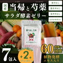 酵素 サプリ 「当帰と芍薬サラダ 酵素ゼリー 12g入り7袋セット」 和漢 国産原料 国内加工 奈良県産 当帰 葉 芍薬 花 ヨモギ 野菜酵素 冷え 更年期 自...