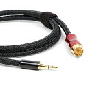 Micca デジタル同軸オーディオケーブル プレミアム SPDIF - 3.5mm (1/8インチ) - RCA 3フィート FiiO X3 X