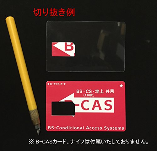 【Disport ONE社オリジナル製品】 二役！ mini B-CAS 変換アダプター 兼 B-CASカー...