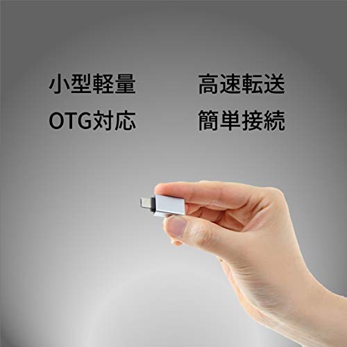 【国内ブランド】 STABILIST usb-type-c-変換 標準USBC変換アダプタ 2個 タイプc type-c usb-a-usb-c 2