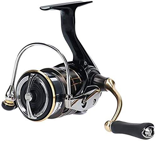 楽天市場】19 バリスティック fw lt2000ss-xhの通販 楽天市場】19 バリスティック fw lt2000ss-xhの通販