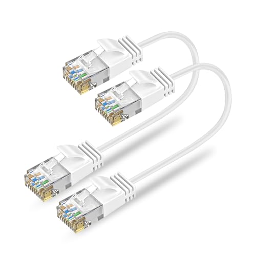 Ankuly Cat6A LANケーブル 短いランケーブル 0.3m 2本セット RJ45コネクタ 10Gbps サーバー 企業様向け 有線ケー