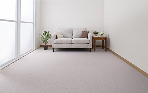 Sanko �������� ���� �ý� ������ۥ��󥳡� ����ʤ� �����륫���ڥå� 45��60cm �饤�ȥ١����� 6�� �ե�åȥ����� ����������