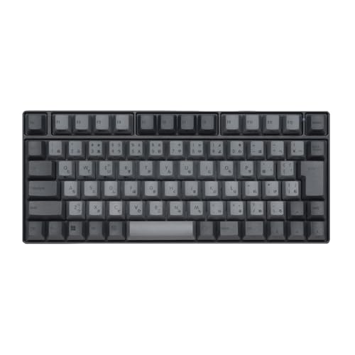 REALFORCE RC1 キーボード 70% ブラック 日本語配列 キー荷重 45g Bluetooth 有線 バッテリー コンパクト C1H