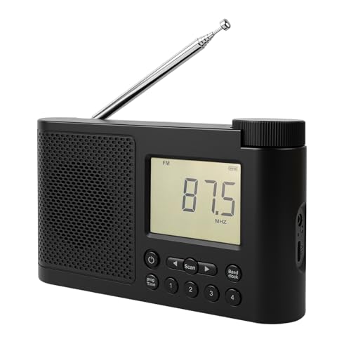 WOVTE ポータブルラジオ FM/AM ラジオ 小型 USB-C充電式 LCD画面 携帯ラジオ 時計/プリセット機能 両親へのプレゼント 敬老