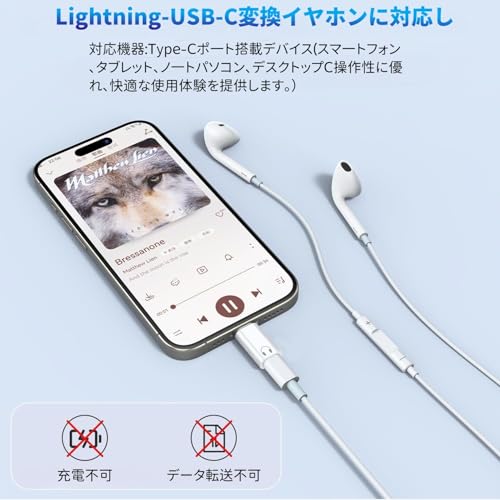 YFFSFDC �饤�ȥ˥� usb-c�Ѵ��� ����ۥ󥢥��ץ��� ����ۥ��Ѵ� �饤�ȥ˥� to USB Type C Lighting U