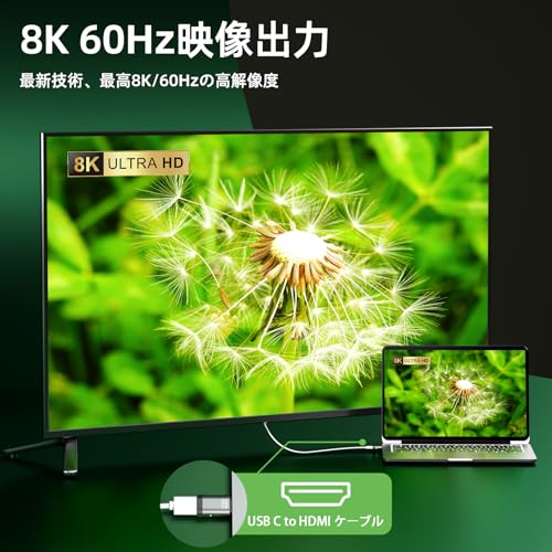 USB C�ޥ��ͥåȼ������ץ���(2�ĥ��å�) USB C ������C �Ѵ������ץ� 24�ԥ� �ޥ��ͥå� USB 40Gbps �ǡ���ž��/PD