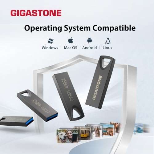 ��GIGASTONE��USB���� 64GB 2�ĥ��å� Z70 USB 3.2 Gen 1 PC�����Mac�б� �ɿ�᥿���Ǻ� �ߥ˥�������