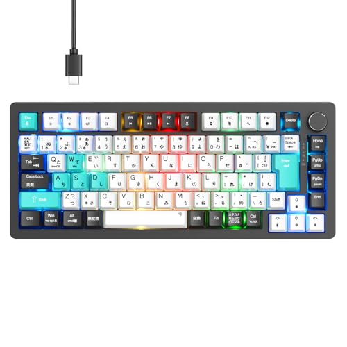 メカニカルキーボード【2025年業界オリジナル開発・日本語配列とカナ印字一体】75% ガスケットゲーミングキーボード 有線 着脱式 カスタマイズ メカニカルキーボード【2025年業界オリジナル開発・日本語配列とカナ印字一体】75% ガスケットゲーミングキーボード 有線 着脱式 カスタマイズ
