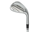 クリーブランドゴルフ(Cleveland Golf) ウエッジ CVX2 ZIPCORE DG95 スチールシャフト メンズ 右利き ロフト角: