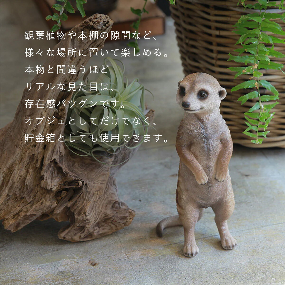 PET BANK ペットバンク MEERKAT ミーアキャット | 貯金箱 / オブジェ / 置物 / 癒し / インテリア / ギフト / magnet / マグネット【沖縄・離島 お届け不可】 [3]