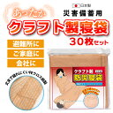 防災寝袋 クラフト製（PEクロス）30枚セット / 非常用 / 災害用 / 防災用品 / 避難所 / 防寒 / 緊急時 / 備蓄品 / 車内 / 大型ごみ袋 / シュラフ / 寒さ対策 / アウトドア / 日本製【沖縄・離島 お届け不可】【代引き不可】【個人不可】