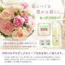 everydayshop:10337263のサンプル画像3