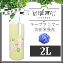 everydayshop:10337263のサンプル画像2