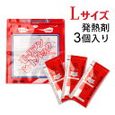 グリーンクロス ホットプラス用 専用発熱剤 60g 6300021051 1個 ■▼361-6560【代引決済不可】