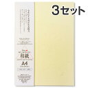 【20枚入×3セット】コピー プリンタ用紙 和紙 色紙 大直 大礼紙 イエロー A4 / 挨拶状 案内状 招待状 冠婚葬祭 礼状印刷 メニュー用 印刷用紙 フォ...
