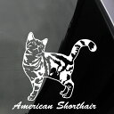 車 ステッカー シール 猫 アメリカンショートヘア リアルシルエット 30cm 誕生日 プレゼント ギフト【名入れ対象外】