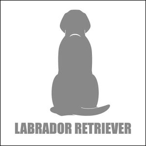 【 車 ステッカー 耐水 ペット 】ラブラドールレトリーバー 後ろ向き シルエットステッカー 車ステッカー 転写ステッカー 犬用品 犬グッズ 犬雑貨 ギフト プレゼント【 ペット 名入れ 対象外】 バレンタイン ギフト プレゼント