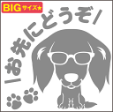 送料無料 安全運転めがね犬ステッ