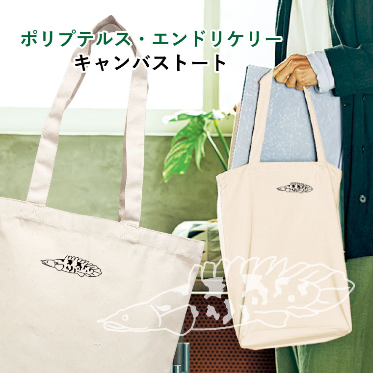 楽天市場】エンドリケリー・エンドリケリーの通販