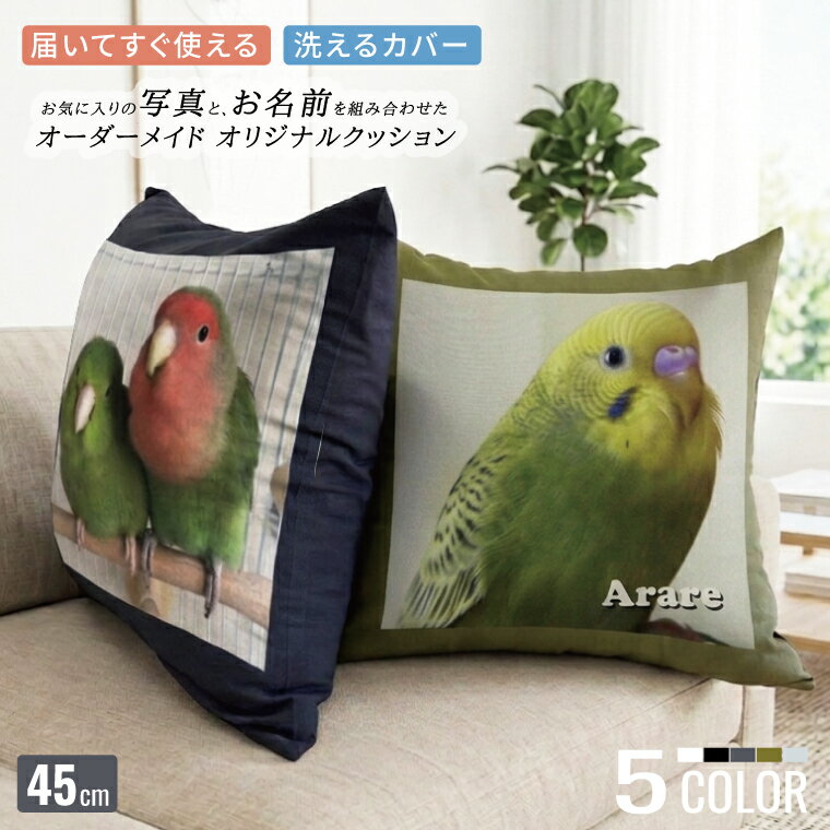 Rakuten - 鳥 インコ 写真入り メモリアル クッション 45×45cm インテリア ペットグッズ フォトクッション プレゼント ギフト オーダーメイド オリジナル 虹の橋 記念品 写真プリント