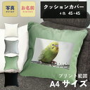 写真入り 鳥 クッションカバー 45×45cm A4プリント インテリア フォトクッション 写真プリント プレゼント ギフト オーダーメイド オリジナル メモリ...