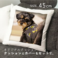 https://thumbnail.image.rakuten.co.jp/@0_mall/everypet/cabinet/item/cushion/cushion-01.jpg